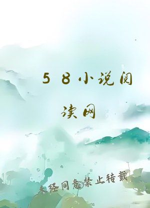 58小说阅读网