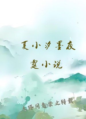 夏小汐墨夜霆小说